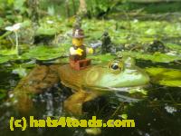 /home//u458753944/public_html/sourcegallery//Frogs/More bullfrogs/P7251204.JPG